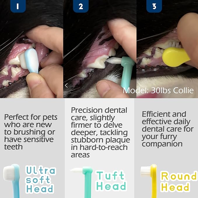 Dog Toothbrush Small Breed Cat Toothbrushes, Puppy Tooth Brushing Kit, Tiny Dog Tooth Brush, Micro Head Deep Teeth Cleaning Brushes for Mini Pet Doggie Kitten, Soft Bristles, 5 PCS