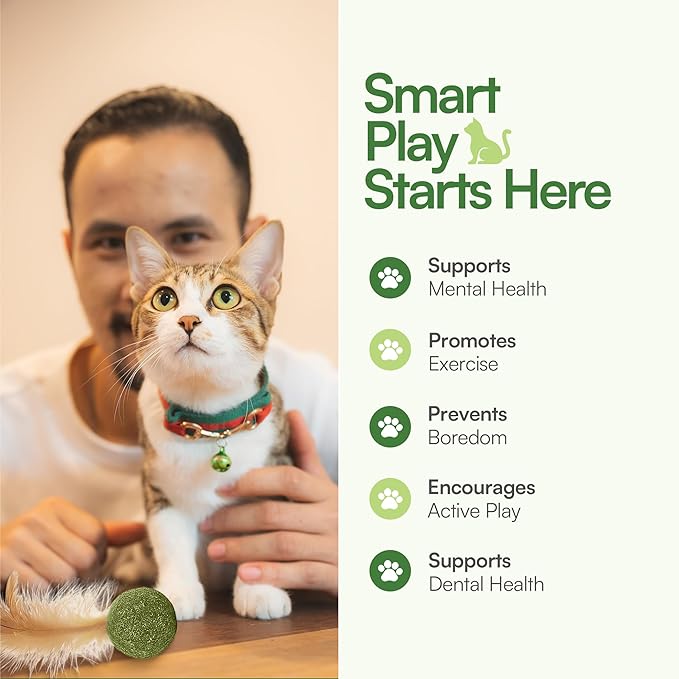 3 Pcs Catnip Balls with Feathers – Natural Catnip Toy for Play, Stress Relief & Healthy Enrichment Interactive Cat Toys Perfect for Indoor Cats & Kittens, Encourages Active Play & Wellness