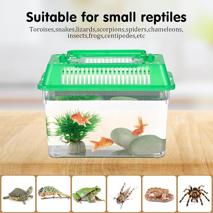 5pcs Small Fish Carrier with Breathable Lids, Portable Betta Fish Tank, Clear Breeding Boxes for Lizard, Turtle, Tarantula（Assorted Color）