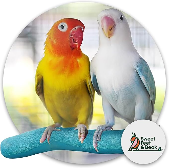 Brid Cage Safety Pumice Perch - Trims Nails and Beak - Promotes Healthy Nails and Beaks - Safe Non-Toxic Bird Supplies for Bird Cages - Large 12"