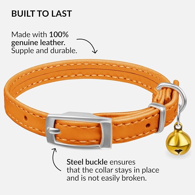 CollarDirect Leather Cat Collar with Bell - Kitten Collar, Small and Big Cat Strap for Boy Cats, Girl Cats with Safety Elastic Strap (Neck Fit 8"-11", Orange)