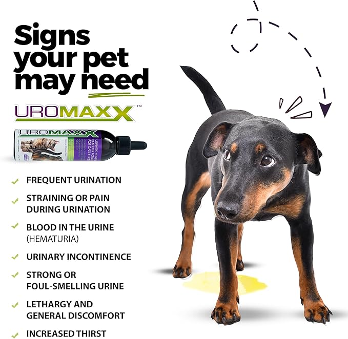 Cat & Dog Urinary Tract Treatment, Bladder & Kidney Support for Dogs and Cats, Powerful Yet Gentle Pet Care, with Liquid Cranberry & Glucosamine, Chicken Flavor, 6 oz Bottle, 1 Pack