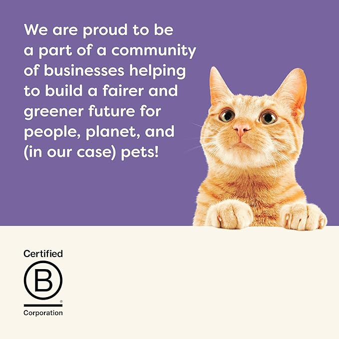 Applaws Natural Wet Cat Food, Limited Ingredient, Grain-Free, Protein with No Artificial Additives, Variety Pack in Broth (8X 2.12 oz Easy-Open Cups)