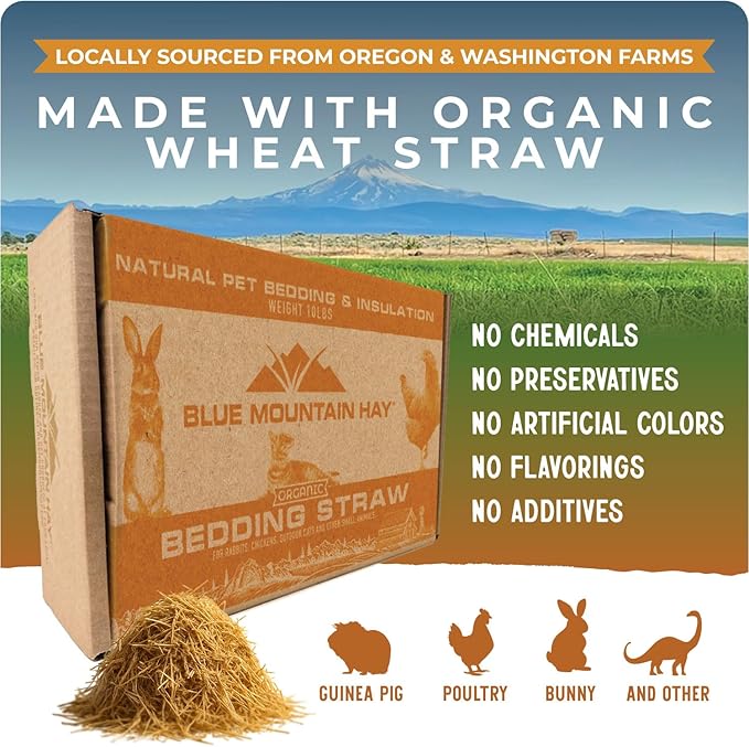 Blue Mountain Hay | Organic Bedding Straw (5 lb) | Natural Pet Bedding & Insulation for Rabbits, Guinea Pigs, Goats, Chickens, Stray & Feral Cats, and Small Animal Shelters