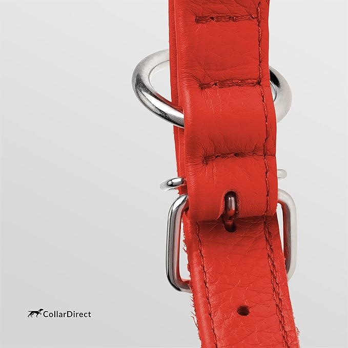 CollarDirect Rolled Leather Dog Collar, Soft Padded Round Puppy Collar, Handmade Genuine Leather Collar Dog Small Large Cat Collars 13 Colors (13-16 Inch, Red Textured)