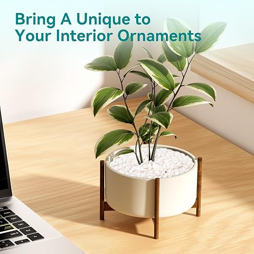 10 lbs Small White Rocks for Planters, 3/8" White Pebbles for Vases, Decorative Small Stones for Plants, Succulents, Bamboo, Terrarium, Landscape, Garden