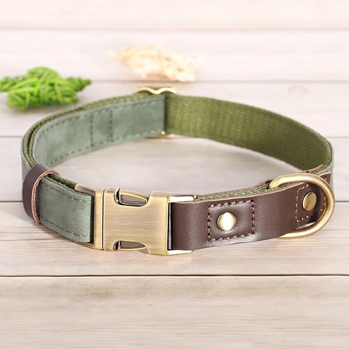 Didog Soft PU Leather Dog Collars for Medium Dogs,Classic Adjustable Dog Collars with Quick Release Metal Buckle,Easy Clean and Comfortable with Nylon Lining,Green,M Neck 13-19"