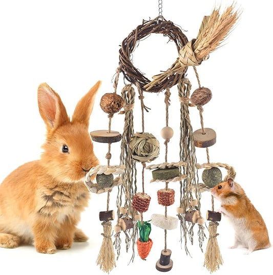 Bissap Bunny Chew Toy, Rabbits Cage Hanging Chew Toys and Treats Rattan Ring with Snacks Water Grass Wooden Block Carrot for Guinea Pigs Chinchillas Hamsters Rats and Other Small Pets Teeth Grinding