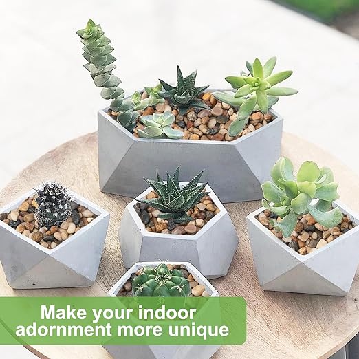 5 lbs Drainage Rocks for Potted Plants, 1/5 Inch Small Pebbles for Indoor Plants, Decorative Gravel for Vases, Bamboo, Succulent, Terrarium, Crafts, Cactus