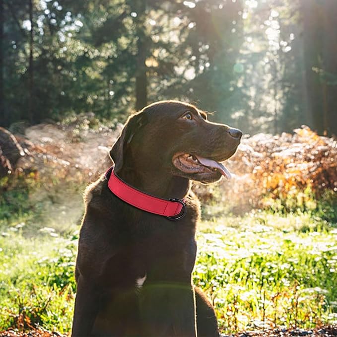 Didog Soft Padded PU Leather Dog Collar, Breathable and Adjustable Red Dog Collars for Medium Dogs, Comfortable for Daily Walk, Red, L Fit Neck 13-17"(22-44 lbs)