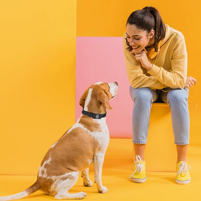 Dogline Biothane Waterproof Dog Collar Strong Coated Nylon Webbing with Black Hardware Odor- Proof for Easy Care Easy to Clean High Performance Fits Small Medium or Large Dogs, Cherry Red