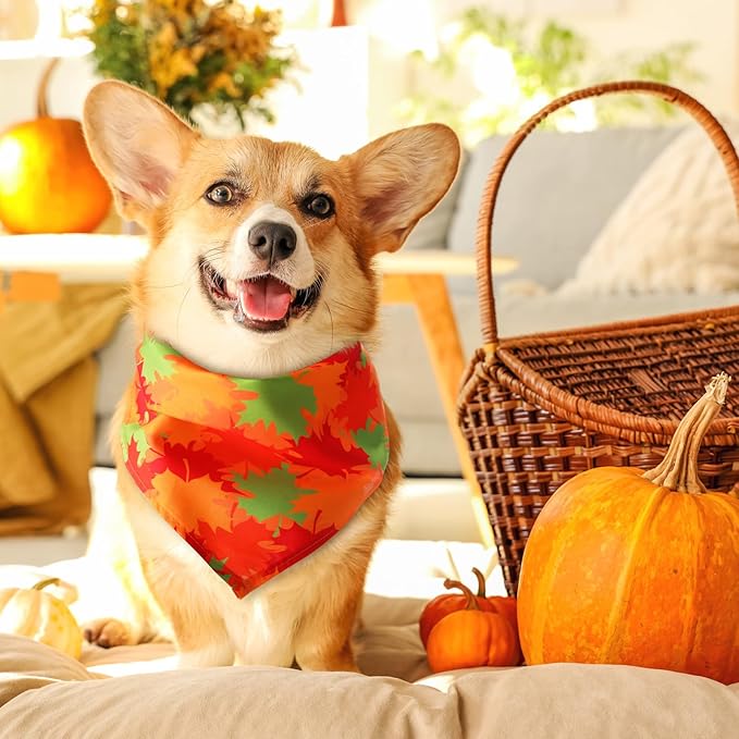Chunful 30 Pcs Fall Bandanas for Dogs Autumn Dog Bandanas with Maple Leaves Pumpkin Patterns Soft Bibs Adjustable Triangle Doggie Scarf for Small Medium Large Pet Fall Costume 25.6 x 17.7 x 17.7 Inch