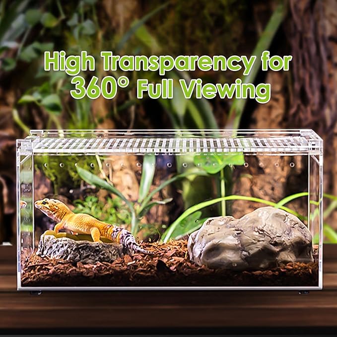 Acrylic Reptile Terrarium Enclosure 9.8" x 5.9" x 5.9" Magnetic Tarantula Breeding Box Transparent Insect Habitat for Jumping Spider Hermit Crab Lizard Sling Isopods Horned Frog Snake Gecko