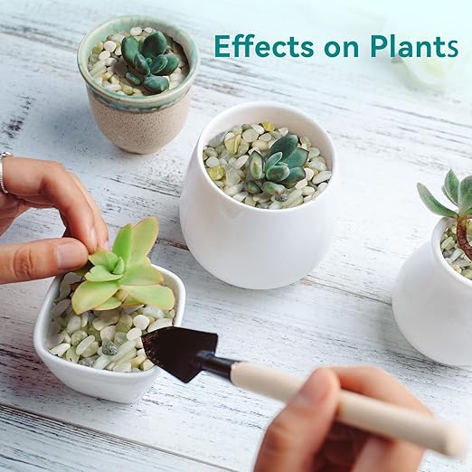 5 lbs Jade Pebbles for Indoor Plants, 1/5 Inch Succulent and Cactus Pebbles, Decorative Gravel for Vases, Bamboo,Terrarium, Crafts, Cactus