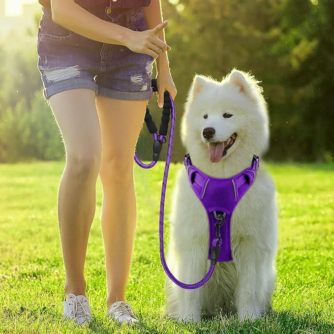 BARKBAY Dog Harness No Pull with ID Tag Pocket - Heavy Duty, Reflective, Easy Control for Large Dogs(Purple,L)