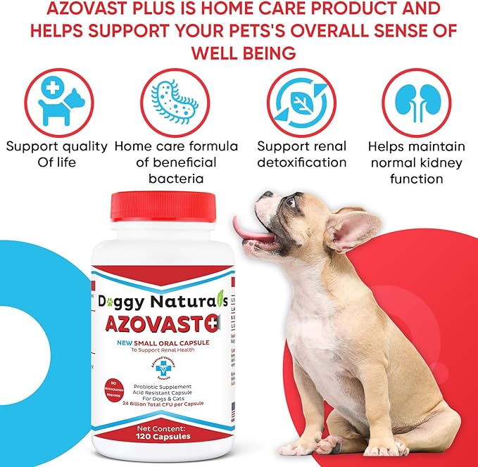 Azovast Plus Kidney Health Supplement for Dogs & Cats, 120ct - NO Refrigeration Required - Help Support Kidney Function & Manage Renal Toxins - Renal Care Supplement Capsule(U.S.A) (120 Caps)