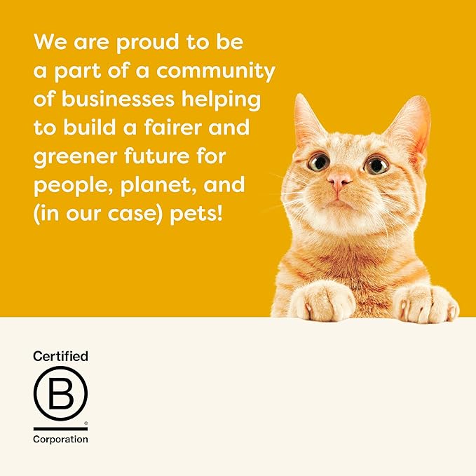 Applaws Natural Wet Kitten Food in Broth, Limited Ingredient Canned Wet Kitten Food, No Additives, Made with Natural Ingredients, Chicken Breast in Broth (24 x 2.47oz Cans)