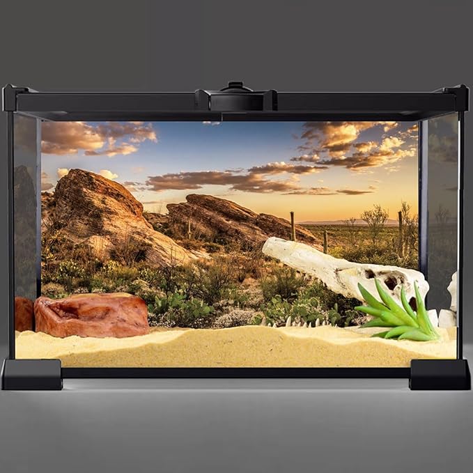 AWERT Reptile Habitat Background Blue Sky Oasis Cactus Sun and Desert Terrarium Background 60x24 inches Durable Polyester Background