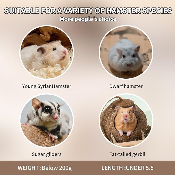 Bear-Shaped Hamster Hideout & Food Bowl Set - Ceramic Habitat for Syrian Dwarf Hamsters, Mice, Gerbils - All-Season Use, Chew-Proof Ceramic House and Feeding Dish for Small Pets(Blue)