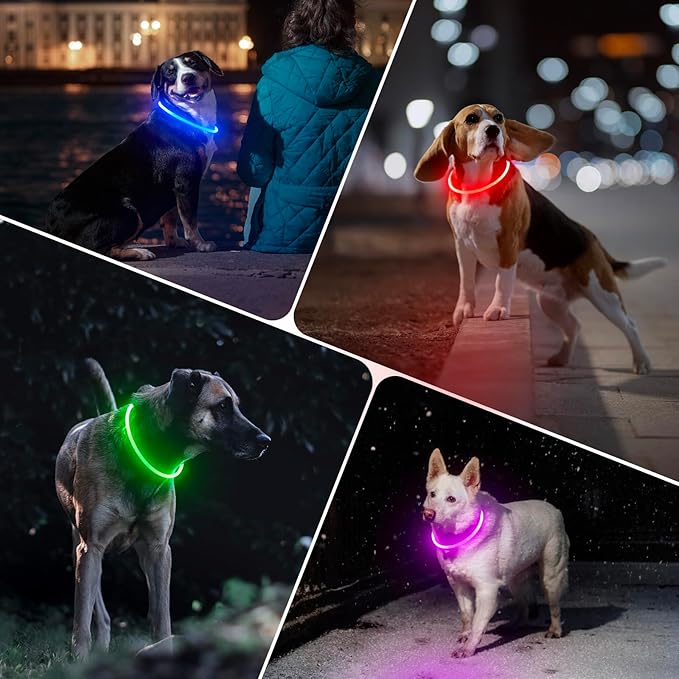 BSEEN Light Up Dog Collar - LED Dog Collar Rechargeable, Glowing Pet Collars for Small Medium Large Dogs, TPU Cuttable Lighted Puppy Collar, Safety Dog Lights for Night Walking (Green 70cm)