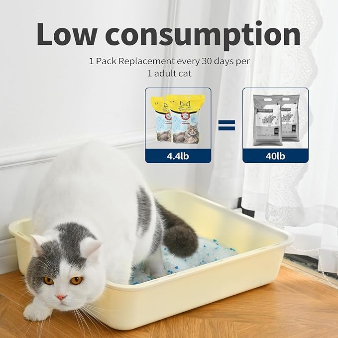 Cat Litter Crystals No Clumping Odor Control Kitty Litter Non-Clumping No scooping Low Dust, Low Tracking, Dehydrates Waste - 17.2 lbs (4 x 4.3 lb Packs)