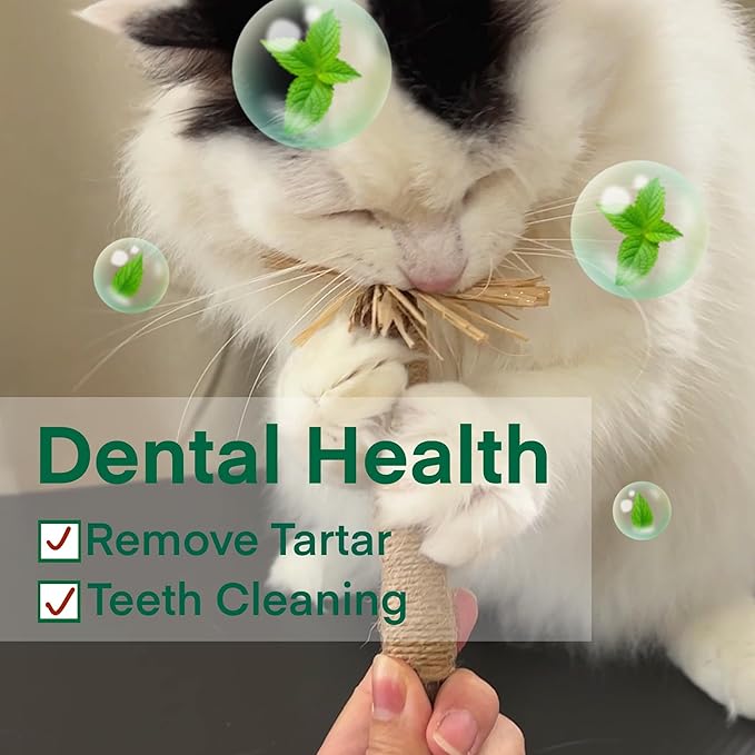 8.66 inches Silvervine Sticks Cat Toys, Natural Catnip Kittens Chew Toy for Teeth Cleaning,Big Catmint Blend Stick, Dental Kitty Chews for Indoor(5 Pack)