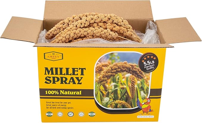Amzey 5.5 LB Spray Millet for Parakeets, 100% Natural Dried Millet Grain for Birds, Non-GMO Bird Treat for Cockatiel, Finches, Parrots & Lovebirds