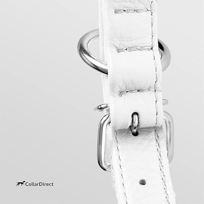 CollarDirect Rolled Leather Dog Collar, Soft Padded Round Puppy Collar, Handmade Genuine Leather Collar Dog Small Large Cat Collars 13 Colors (6-7 Inch, White Textured)