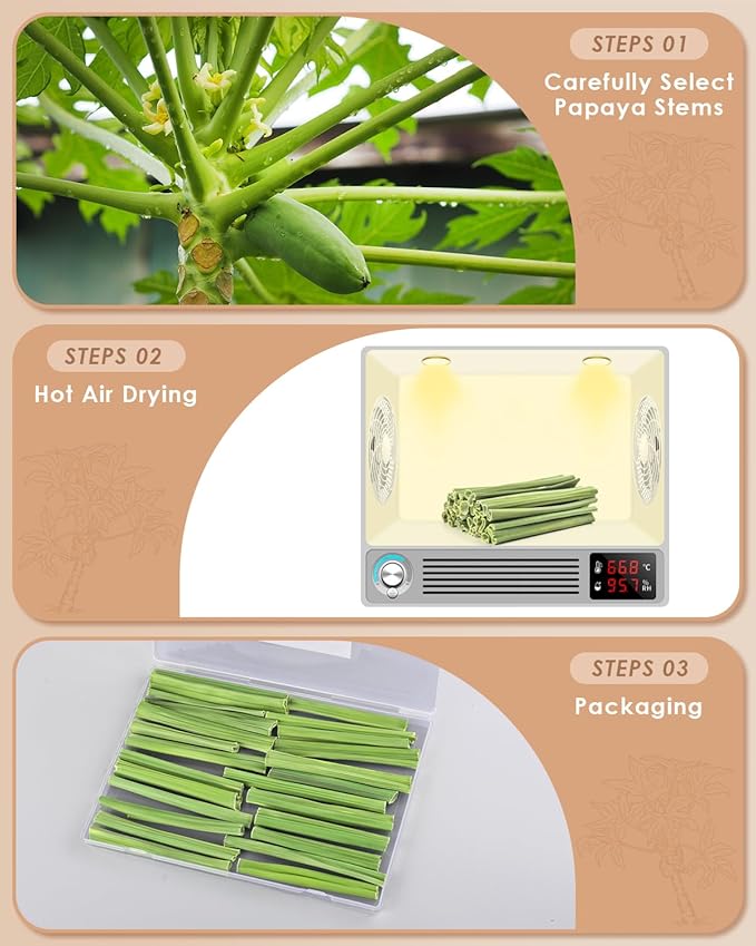 Bissap 25 PCS Guinea Pigs Chew Sticks, Natural Papaya Stems Bunny Chews Treats for Hamsters Chinchillas Small Animals Organic Molar Chewing Snack