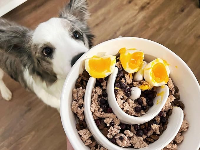 Ceramic Slow Feeder Dog Bowls Elevated for Small and Medium Breed with Wooden Stand, 1.5 Cups Dog Dishes to Slow Down Eating, Anti-Gulping Pet Feeding Dishes,White