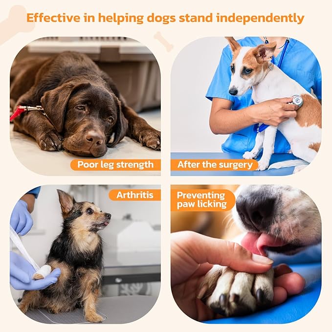 Anti-Slip Dog Paw Protector Pads for Senior Dogs, Dog Paw Blue Stickers with Strong Traction on Hardwood Floor, Dog Essentials,12sets(48pcs) XXL (61-80lbs)