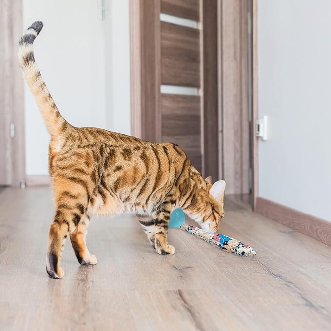 BINGPET 6 Pcs Catnip Toys for Cats,Interactive Cat Toy for Bored Indoor Kitten Adult Cats,Cat Fish Toy Filled with Natural Catnip,Cute Crinkle Cat Toy Kitten Toys Cat Chew Kicker Toy for All Breeds