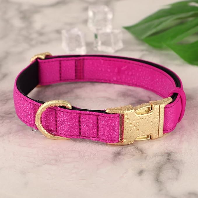 Didog Soft Padded Dog Collars for Small Dogs, Colorful and Durable Dog Collar with Quick Release Buckle, Light and Breathable for Daily Walking, Rose Purple, S