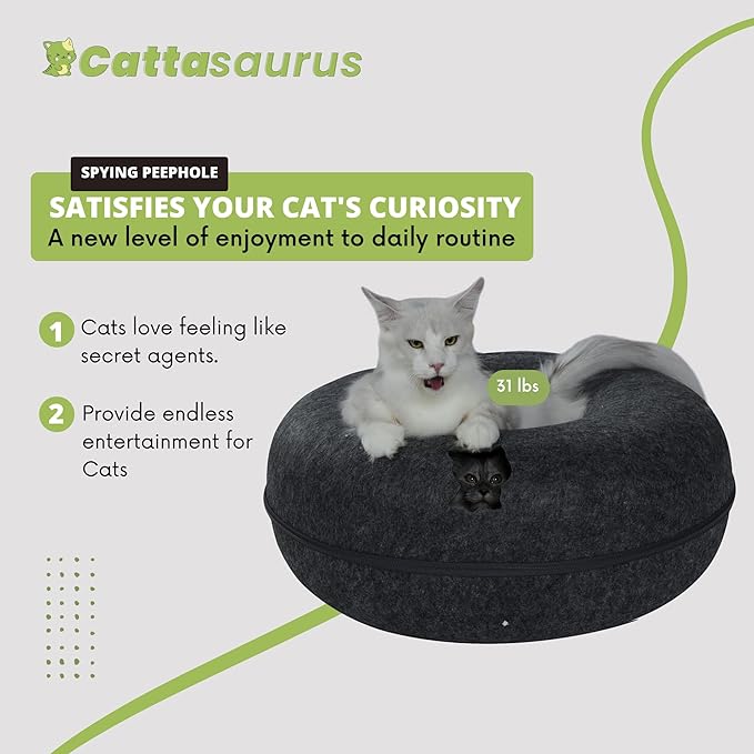 Cattasaurus Peekaboo Cat Cave, Extra Spacious for Multiple & Large Cats 12+ lbs, Scratch Detachable Beds for Indoor Cats, Washable Tunnel Bed, Comfy Cat Donut Tunnel (Dark Gray+Dark Gray, Jumbo)