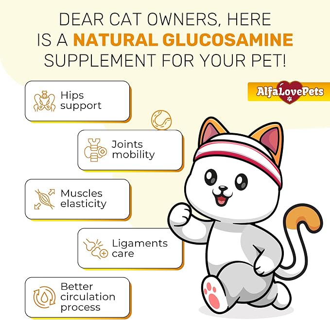 Cat Joint Supplement for All Breeds – Glucosamine for Cats and Kittens – Glucosamine, Chondroitin, MSM for Hip & Joint Care – Natural Ingredients with Chicken Flavor – 2 Oz