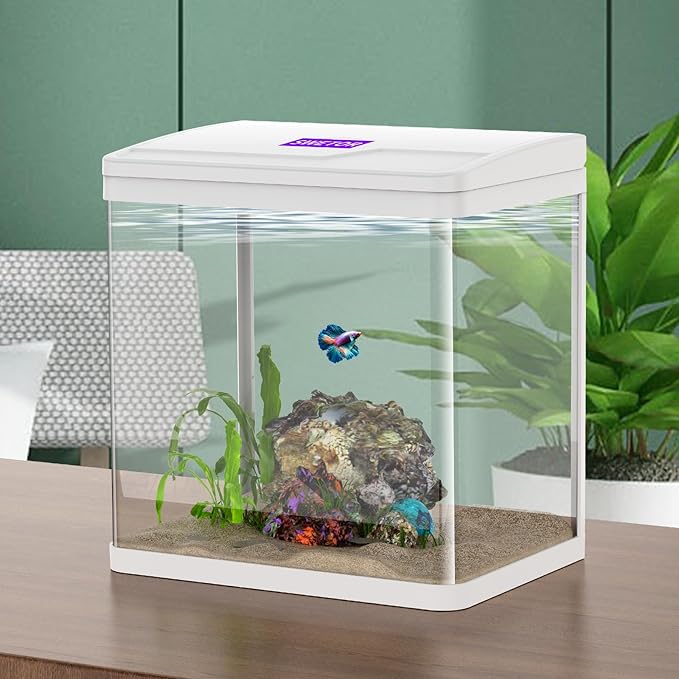 2 Gallon Betta Fish Tank Starter Kit, Self-Cleaning Aquarium with Built-in Filter and LED Light