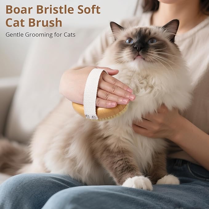 Boar Bristle Cat Brush for Indoor Cats, Cat Hair Brush Gentle Grooming, Reduce Shedding, Soft Hair and Healthy Shine, Bamboo Handheld with Soft Boar Bristles and Band for Short Haired Cats Dogs