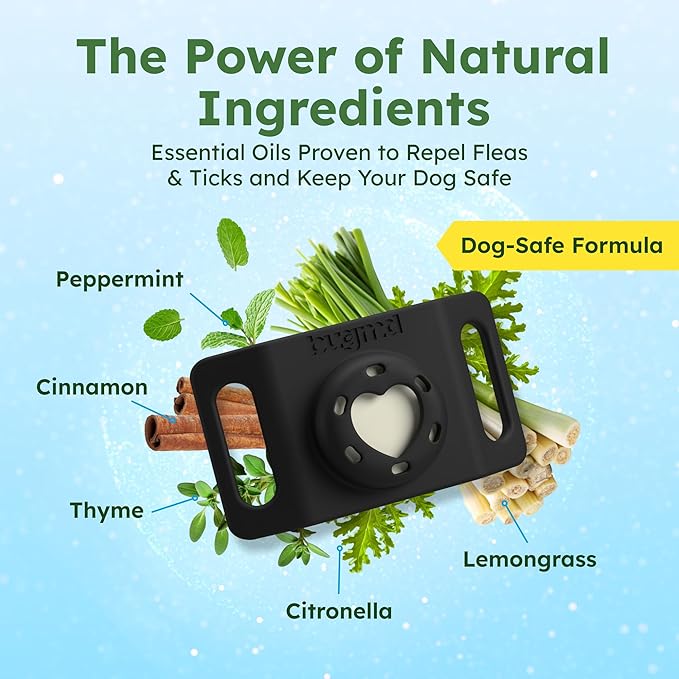 BugMD Paw Guardian Flea & Tick Pendant (2-Pack) with AirTag Holder – Plant-Based Flea & Tick Prevention for Dogs – Pet Collar Tag & GPS Tracker Holder for Dogs – Black