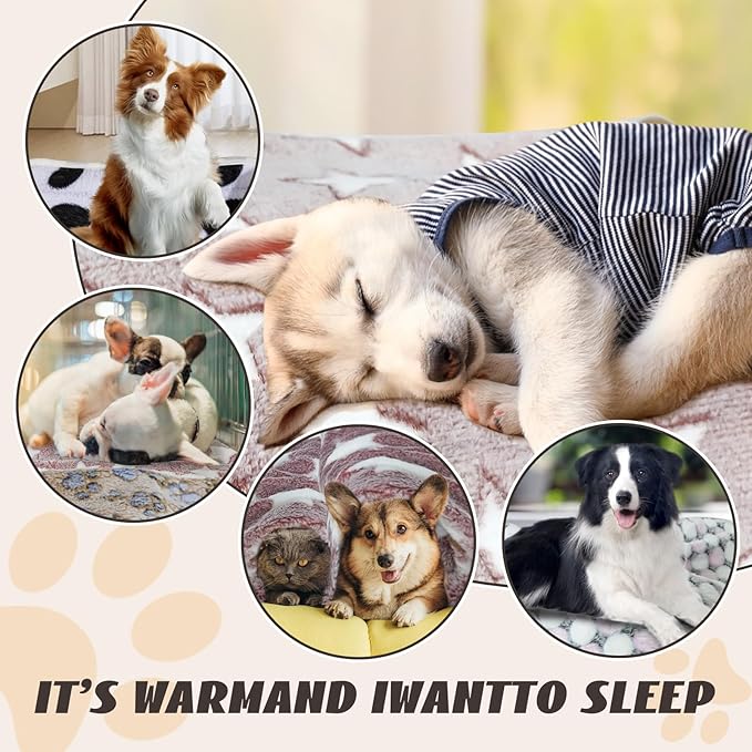 6 Pcs Washable Guinea Pig Blankets Absorbent Small Animal Fleece Bedding Cage Liners Reusable Pet Pee Pad Sleep Mat Pad Cover for Hamster Ferret Rabbit Chinchilla Hedgehog (Black, 24" x 35")