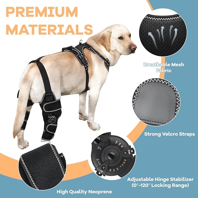 Dog Knee Brace with Adjustable Support – ACL & CCL Tear Recovery, Post-Surgery Stabilization, Mobility Aid for Rear Legs – Includes Secure Chest Harness for Dogs(Both Legs,L)