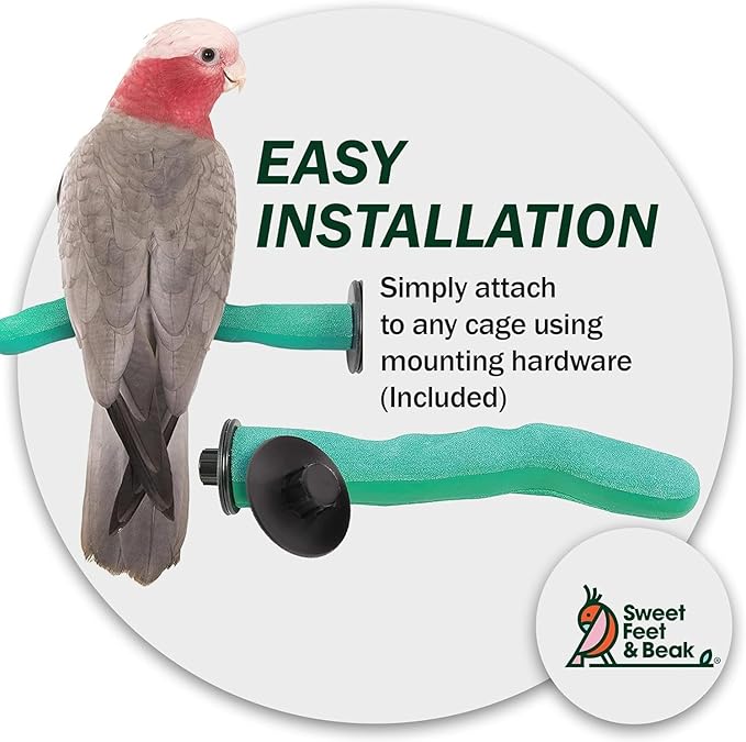 Brid Cage Safety Pumice Perch - Trims Nails and Beak - Promotes Healthy Nails and Beaks - Safe Non-Toxic Bird Supplies for Bird Cages - Large 12"