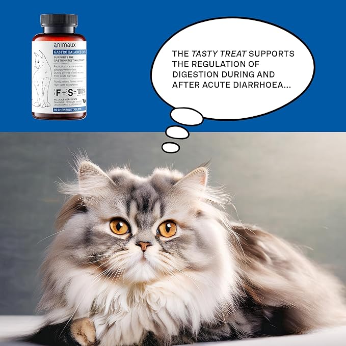animaux - Gastro Balance for Cats, Supports Gastro-intestinal Tract, Prevents Diarrhoea, Constipation, Hairballs & Flatulence, supplementary probiotics, 90 chewable Tablets, 90 Days Supply