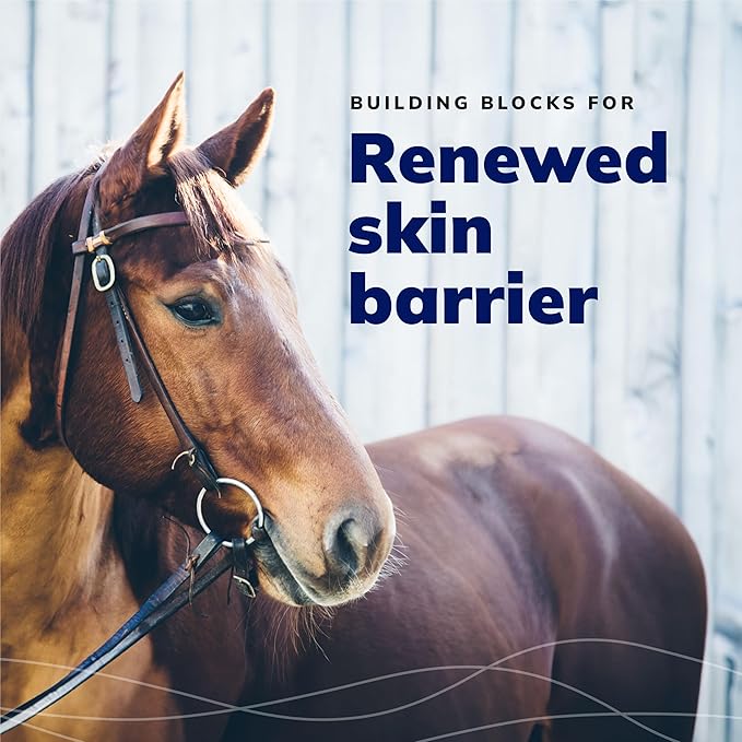 CeraSoothe CHX+KET Antiseptic Wipes Formulated for Dogs, Cats, & Horses – Chlorhexidine & Ketoconazole Medicated Pet Wipes – Antibacterial & Antifungal Skin Care for Pets – 30 Count