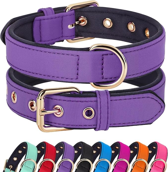 Didog Soft Padded Dog Collars for Small Dogs, Lightweight and Breathable Purple Dog Collar with Metal Buckle, Purple, M