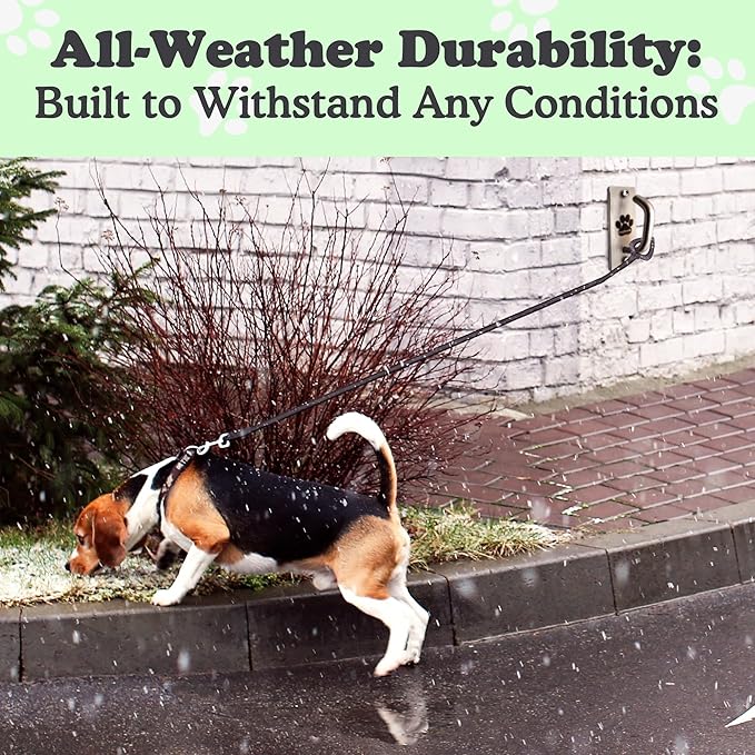 Canine Hitch- Secure Dog Leash Parking Mounted Indoor – Outdoor Wall Hook - Tie Out Stainless Steel Practical Lead Management for Home & Business, Standard Size 6 Pack