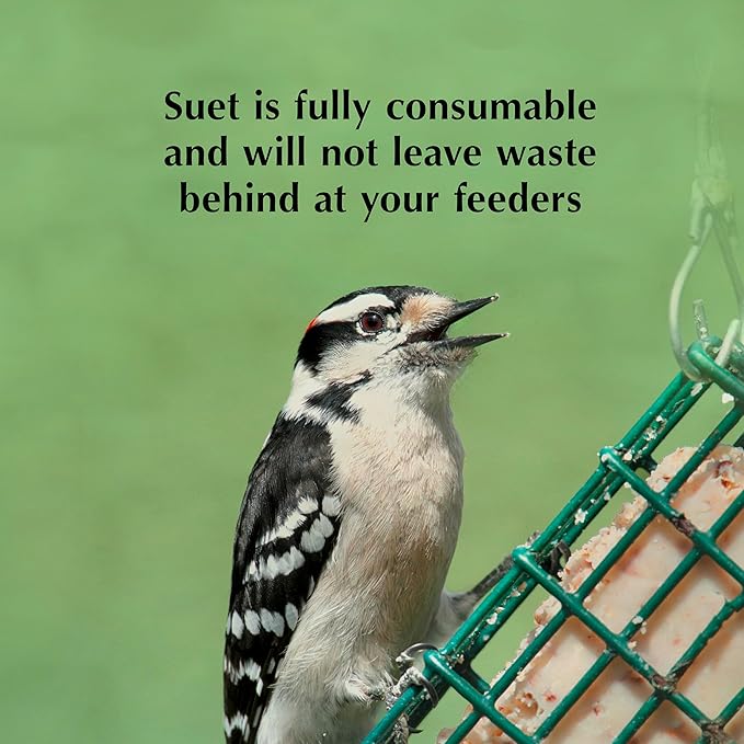 C&S Sunflower Suet Nuggets, Suet Nuggets for Wild Birds, 27 Ounces