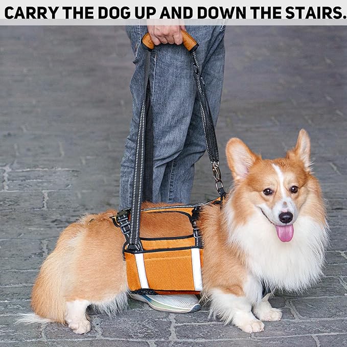 COODEO Mobility Dog Lift Harness, Emergency Carry Sling, Pet Rear Leg Support Rehabilitation Lifts Vest, Dog Carrier for Senior Dogs Joint Injuries, Arthritis (Orange, XL)