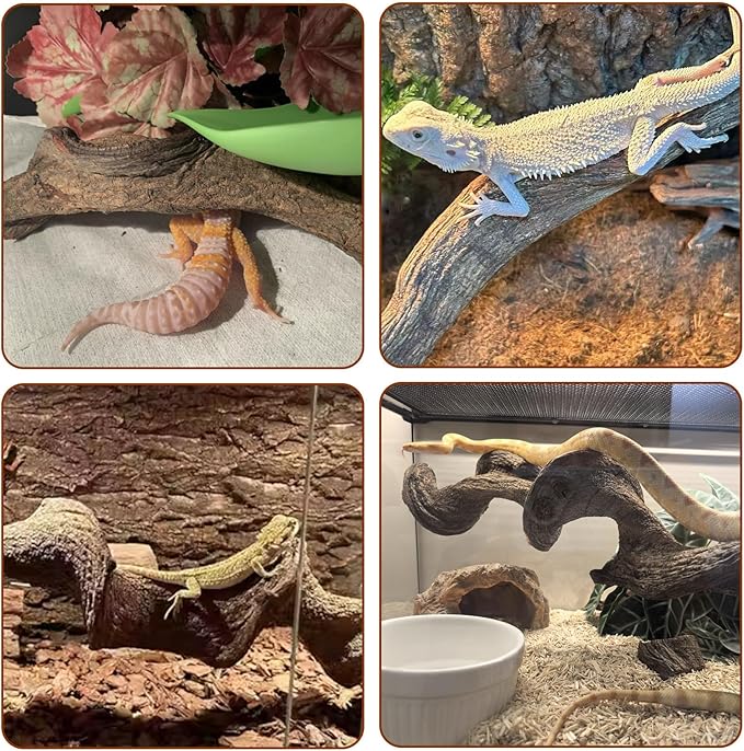 BNOSDM 2Pcs Reptile Climbing Branches Decor,Snake Climbing Branch,Gecko Climb Wood,Lizard Forest Branch,Tank Habitat Tree Trunk Decorations for Bearded Dragons,Chameleons,Spider,Frogs (L)
