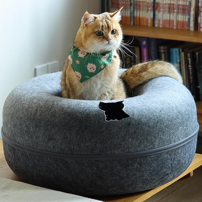 Cattasaurus Peekaboo Cat Cave, Extra Spacious for Multiple & Large Cats 12+ lbs, Scratch Detachable Beds for Indoor Cats, Washable Tunnel Bed, Comfy Cat Donut Tunnel (Dark Gray+Dark Gray, Jumbo)