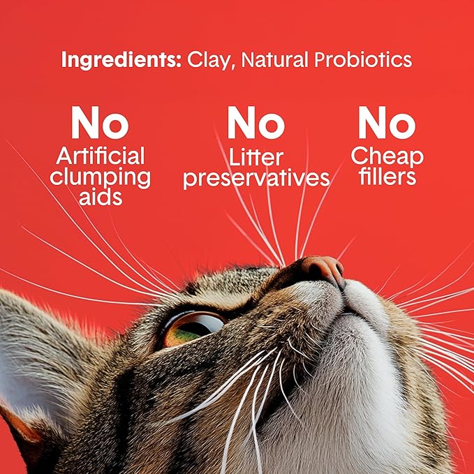 Boxie® Extra Strength 35 Day Odour Control Clumping Clay Cat & Kitty Litter 28lb, 99.9% Dust-Free, Probiotic Formula, Long-Lasting, Veterinarian Approved, Easy Scooping for Multi-Cat Homes